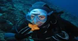 Tauchen in Griechenland