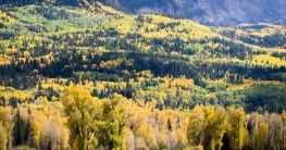 Der Aoos-Nationalpark