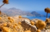 Kreta